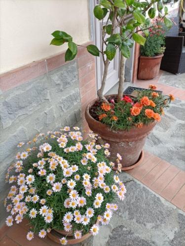 Chianti-Home Palagione Страда Экстерьер фото