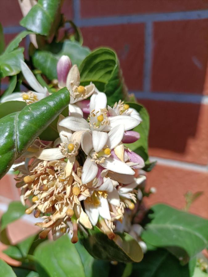 Chianti-Home Palagione Страда Экстерьер фото